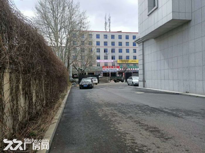 出租出售小孤山工业区，享受政府补贴-图4