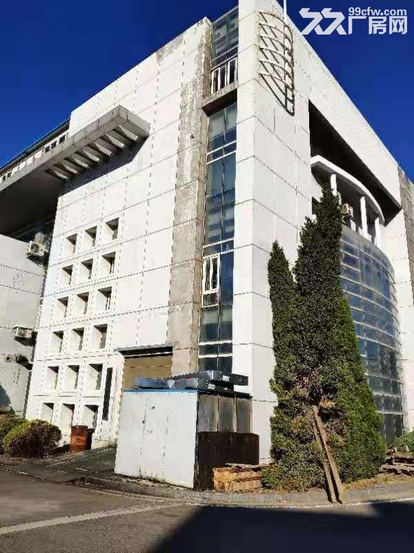 出租开发区双D港厂房 4000平  产权